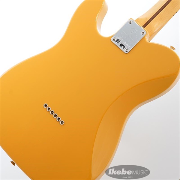 Fender MEX Player Plus Nashville Telecaster (Butterscotch Blonde/Maple) 画像7