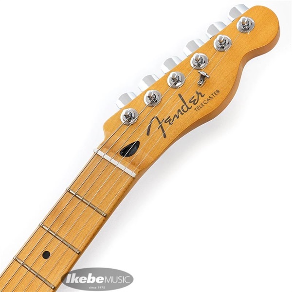 Fender MEX Player Plus Telecaster (Cosmic Jade/Maple