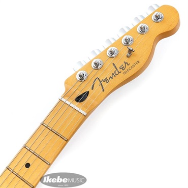 Fender MEX Player Plus Telecaster (Aged Candy Apple Red /Maple) 画像8