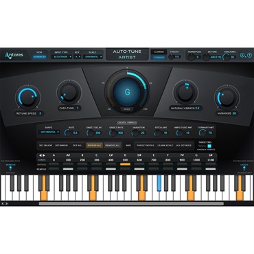 Antares Auto-Tune Artist (代引不可)(オンライン納品) 画像3
