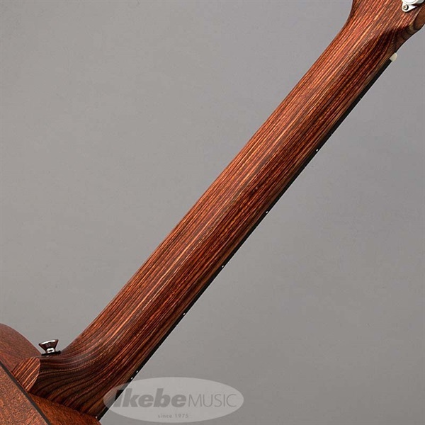 MARTIN LX1E Little Martin マーチン マーティン 画像7