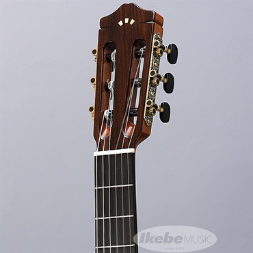 Cordoba Iberia Series GK Studio 【エレガット】 コルドバ 画像4