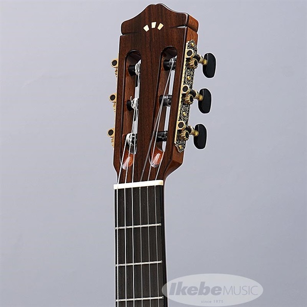 Cordoba Iberia Series GK Studio 【エレガット】 コルドバ 画像4