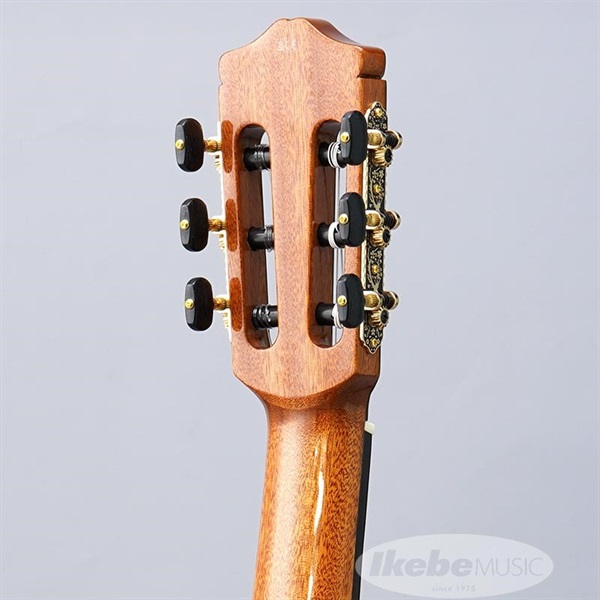Cordoba Iberia Series GK Studio 【エレガット】 コルドバ 画像5
