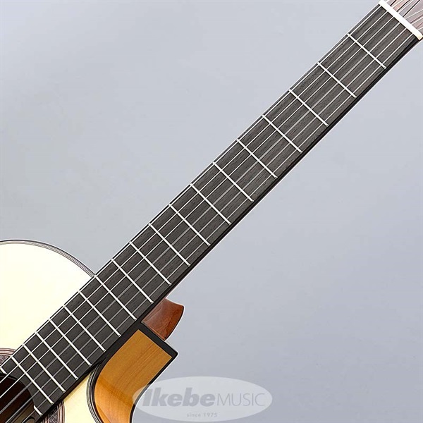 Cordoba Iberia Series GK Studio 【エレガット】 コルドバ 画像6