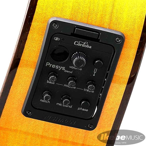 Cordoba Iberia Series GK Studio 【エレガット】 コルドバ 画像8
