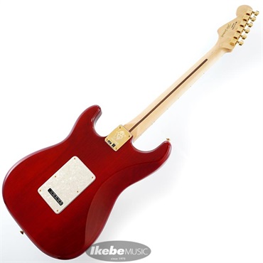 Fender Tash Sultana Stratocaster Mexico製 Fender Tash Sultana Stratocaster Electric Guitar Transparent