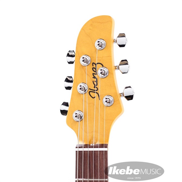 Ibanez J-LINE TM730-IDG 画像3