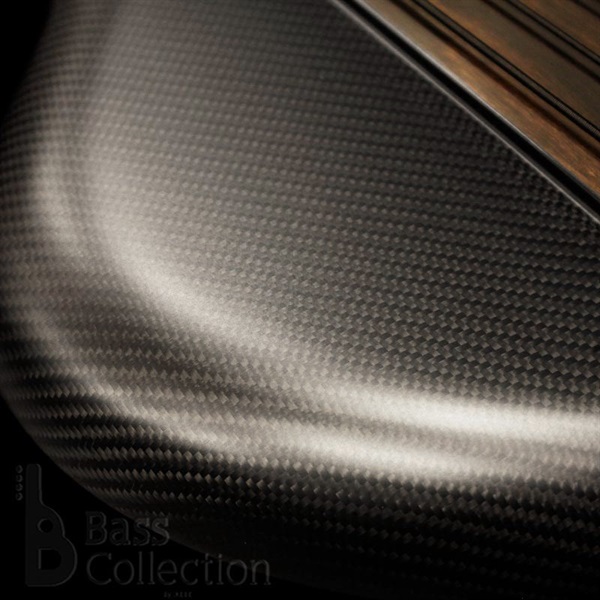 Ritter R8-Singlecut Concept / Carbon Racecar 画像3