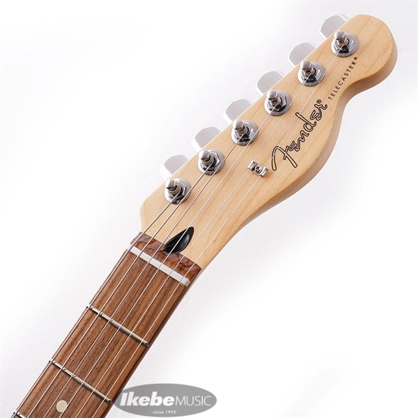 Fender MEX Player Telecaster HH (Silver/Pau Ferro) [Made In