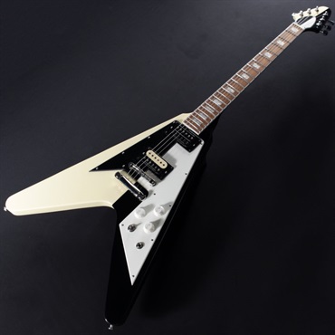 Edwards E-FV-125WB BLOCK 画像1