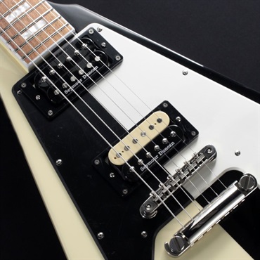 Edwards E-FV-125WB BLOCK 画像3