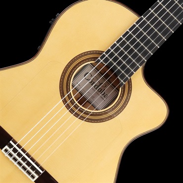 Cordoba FCWE Gipsy Kings Reissue コルドバ ｜イケベ楽器店オンライン 