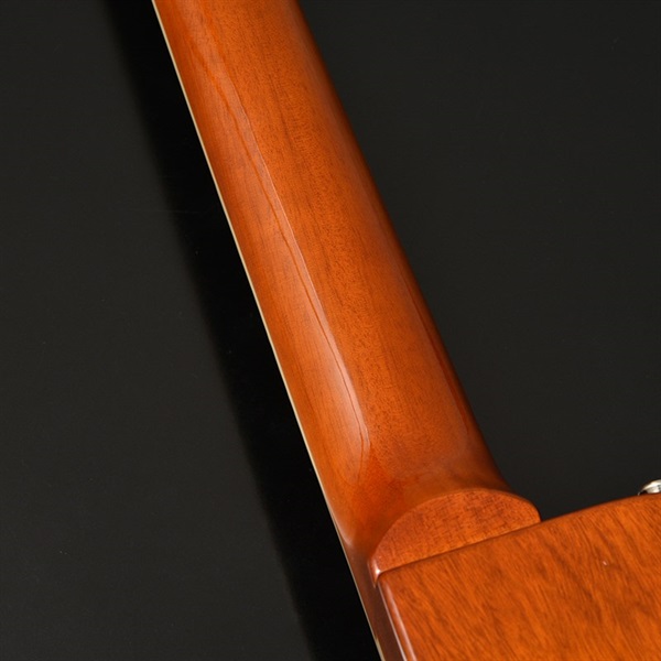 Bacchus Limited Edition BLP-STD 1957 (Gold Top) 画像9