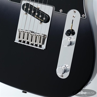 Fender MEX Player Plus Telecaster (Silver Smoke/Pau Ferro) 画像4