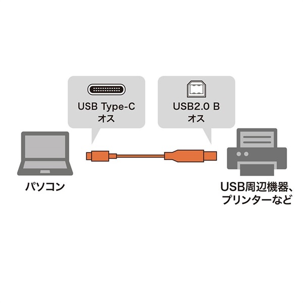 SANWA SUPPLY 【創業50周年大決算SALE】KU-CB20 【2.0m】(USB2.0 Type C-Bケーブル)(サンワサプライ) 画像1