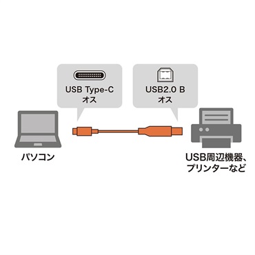 SANWA SUPPLY 【創業50周年大決算SALE】KU-CB30 【3.0m】(USB2.0 Type C-Bケーブル)(サンワサプライ) 画像1