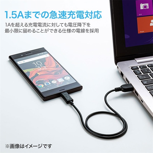 SANWA SUPPLY 【創業50周年大決算SALE】KU-CA20K 【2.0m】(USB2.0 Type C-Aケーブル) 画像3