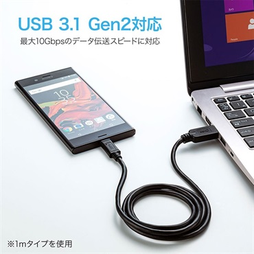 SANWA SUPPLY KU31-CA10 【1.0m】(USB3.1 Gen2 Type C-Aケーブル) 画像3