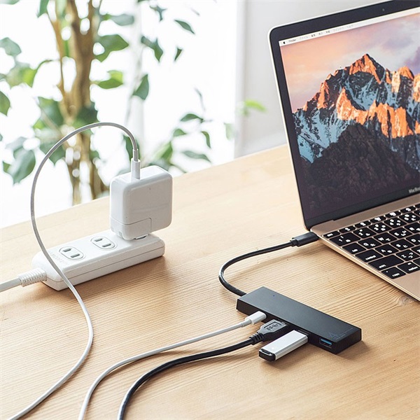 SANWA SUPPLY USB-3TCH8BK(USB Type C ハブ) 画像2