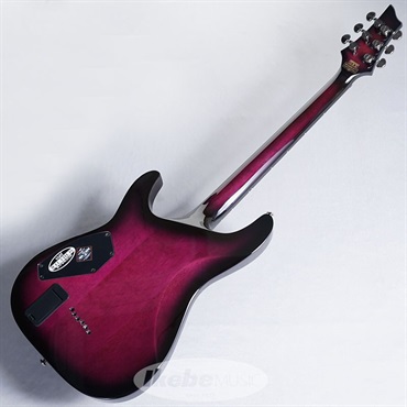 SCHECTER C-1 HellRaiser [AD-C-1-HR] (TPB) 画像5