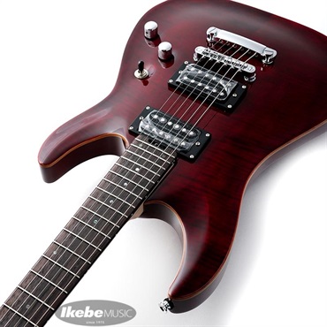 SCHECTER JOL-CT-6 (BKCH) 画像5