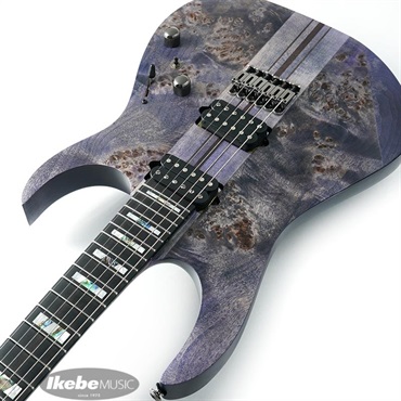 Ibanez Premium RGT1221PB-DTF 画像5