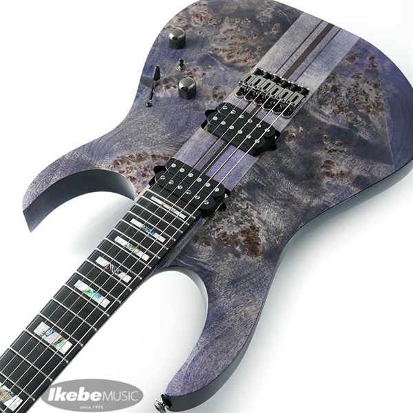 Ibanez Premium RGT1221PB-DTF 画像5