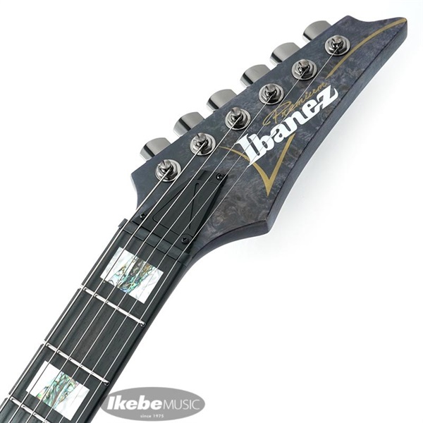 Ibanez Premium RGT1221PB-DTF 画像8