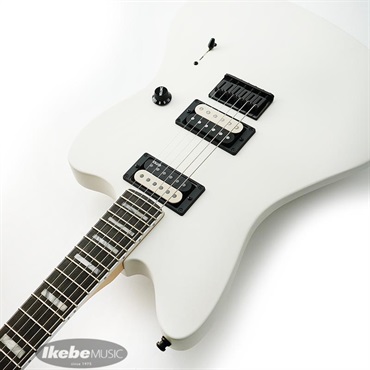 Fender MEX Jim Root Jazzmaster V4 画像5