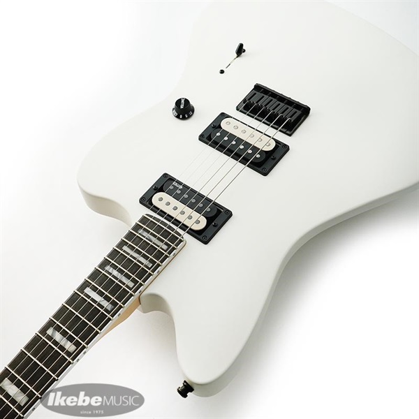 Fender MEX Jim Root Jazzmaster V4 画像5