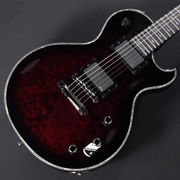 SCHECTER HELLRAISER SOLO-II [AD-SOLO-HR/II] (BCHB) 画像2