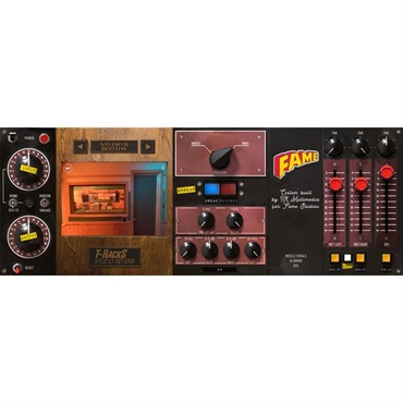 IK Multimedia T-RackS FAME Studio Reverb(代引不可)(オンライン納品) 画像4