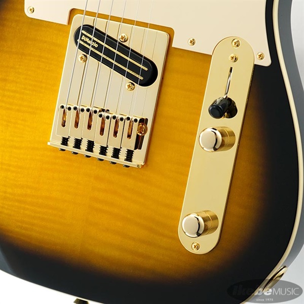 Fender Made in Japan Ritchie Kotzen Tele (Brown Sunburst) ｜イケベ