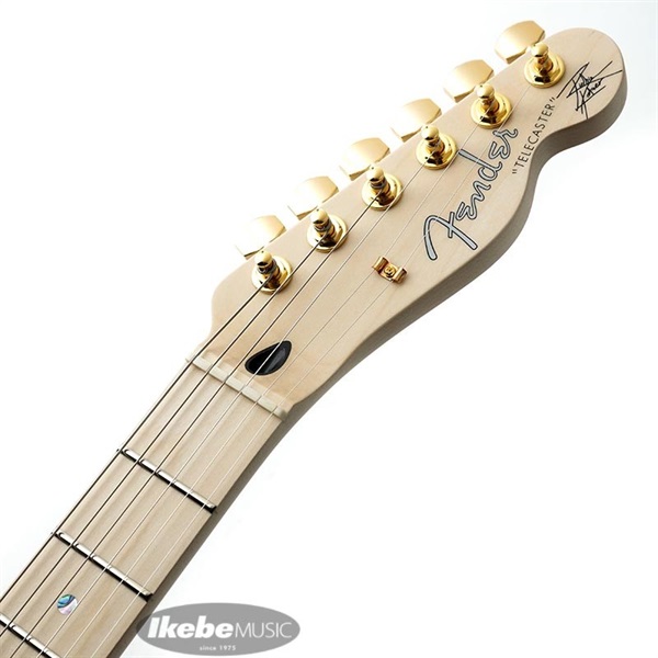 Fender Made in Japan Ritchie Kotzen Tele (Brown Sunburst) ｜イケベ