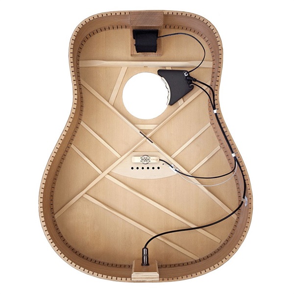 L.R.Baggs Anthem [Acoustic Guitar Pickup + Microphone] 画像2