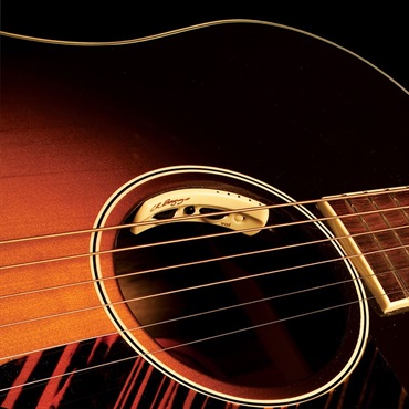 L.R.Baggs Anthem [Acoustic Guitar Pickup + Microphone] 画像3
