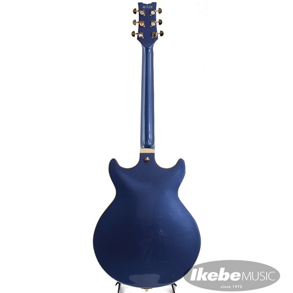 Ibanez Artcore Expressionist AMH90-PBM [SPOT MODEL] 【即納