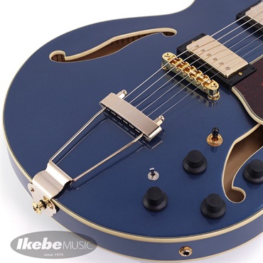 Ibanez Artcore Expressionist AMH90-PBM [SPOT MODEL] 【即納可能】 画像10