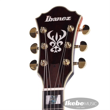 Ibanez ARTSTAR AS113-BS ｜イケベ楽器店オンラインストア