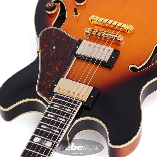 2025年2月購入 Ibanez AS113-BS 2025年2月購入 Ibanez AS113-BS 約3.4kg Buy Ibanez As113-Bs In