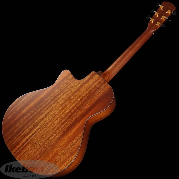 MORRIS HAND MADE PREMIUM SC-16U [打田十紀夫 Signature Model 