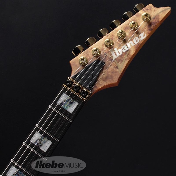 Ibanez Premium RGT1220PB-ABS 画像4