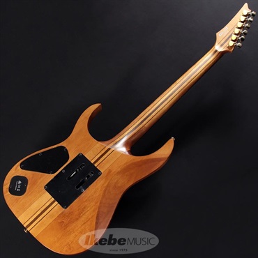 Ibanez Premium RGT1220PB-ABS 画像5
