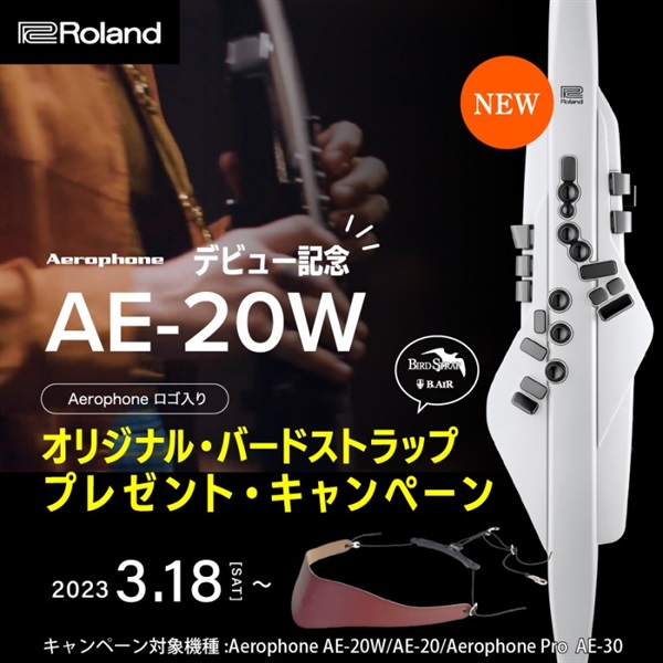 Roland Aerophone [AE-20]【数量限定！エアロフォン ソング＆ガイド