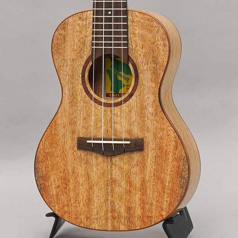 BIG ISLAND U-MO-CTS Mango Concert ビッグアイランド 画像2