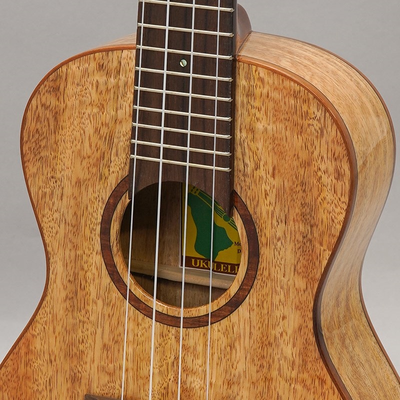 BIG ISLAND U-MO-CTS Mango Concert ビッグアイランド 画像6