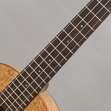 BIG ISLAND U-MO-CTS Mango Concert ビッグアイランド 画像8