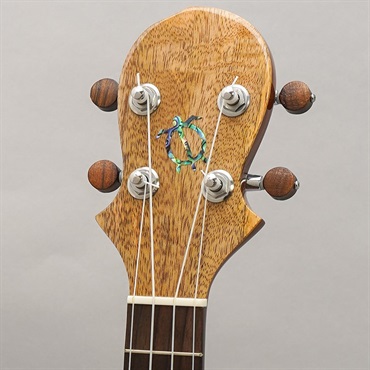 BIG ISLAND U-MO-CTS Mango Concert ビッグアイランド 画像10