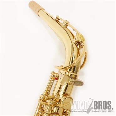 YAMAHA USED 中古 ヤマハ アルトサックス YAS-875（旧タンポ） S/N:E90xx5 画像1